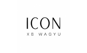 ICON XB